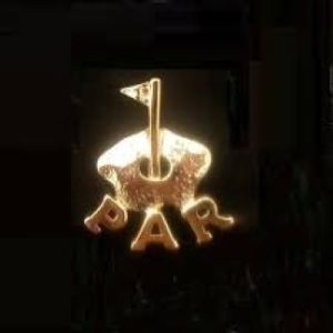 Pin Goudoverlay PAR met hole en vlag in goud
